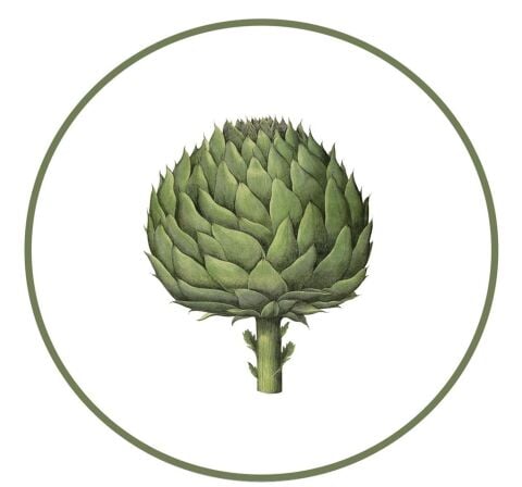 Halcyon Days Kitchen Garden Artichoke Round Birchwood Tray