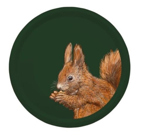 Woodland Wildlife Squirrel Round Birchwood Tray