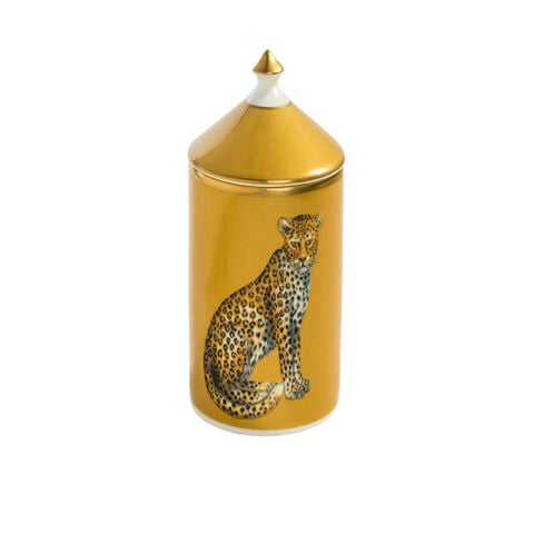 Mw Leopard Gold Jasmine Lidded Candle