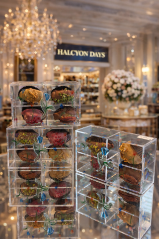 Halcyon Days Gurme Hurma | 4 Parça Premium Seçki