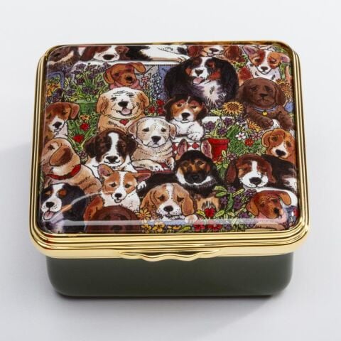 Dogs Leave Pawprints On Your Heart Enamel Box