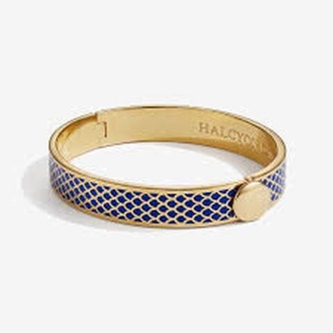 1cm Salamander - Deep Cobalt - Gold - Hinged Bangle