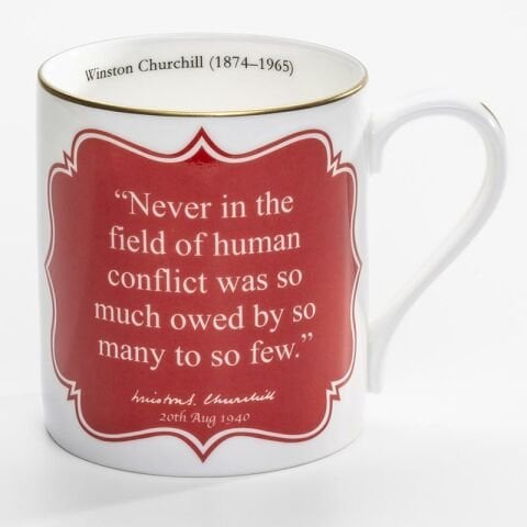 CH - Never In The Field - Mug - NEW