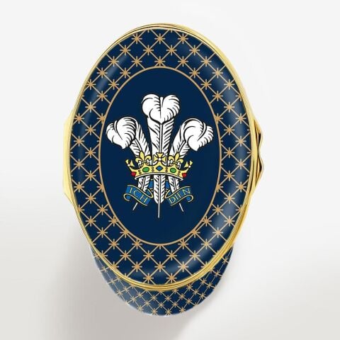 Prince Of Wales Investiture Enamel Box Le50